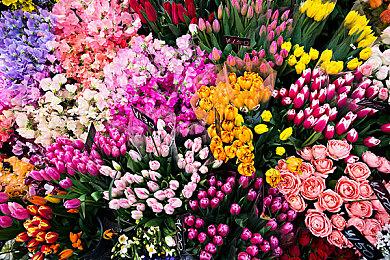 奇幻动作冒险游戏《永恒之链》新预告＆截图